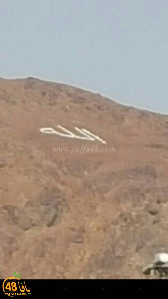 mo3tmreenashad (5).jpg